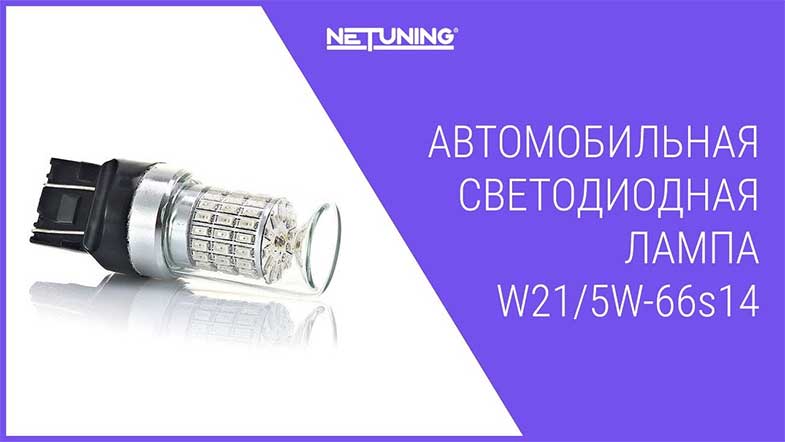   NeTuning w21/5w-66s14